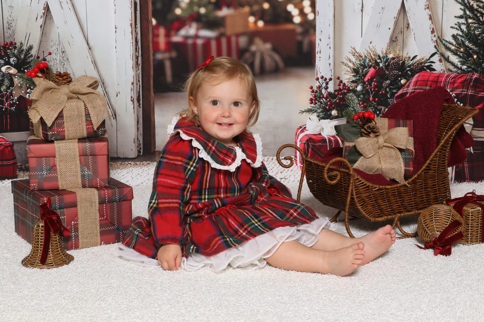  child photographed in a seasonal portrait set